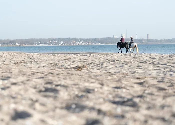 Lejlighed Wohnpark Am Muehlenteich - 37 Timmendorfer Strand